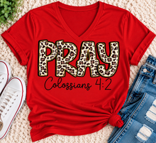 Load image into Gallery viewer, PRAY Colossians 4:2 leopard print Christian graphic shirt available in short sleeve crewneck, V-neck, long sleeve and hoodie styles.