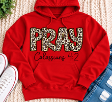 Load image into Gallery viewer, PRAY Colossians 4:2 leopard print Christian graphic shirt available in short sleeve crewneck, V-neck, long sleeve and hoodie styles.