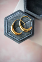 Load image into Gallery viewer, Vina Gold Hook Earrings