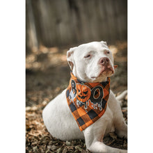 Load image into Gallery viewer, Julia Rose Halloween dog triangle collar scarf, Halloween dog bandana triangle style