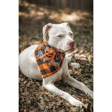Load image into Gallery viewer, Julia Rose Halloween dog triangle collar scarf, Halloween dog bandana triangle style