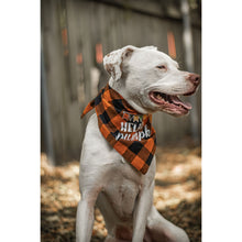 Load image into Gallery viewer, Julia Rose Halloween dog triangle collar scarf, Halloween dog bandana triangle style