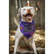 Load image into Gallery viewer, Julia Rose Halloween dog triangle collar scarf, Halloween dog bandana triangle style