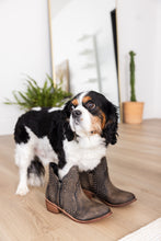 Load image into Gallery viewer, Nailed It Ankle Boot in Black