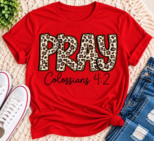 Load image into Gallery viewer, PRAY Colossians 4:2 leopard print Christian graphic shirt available in short sleeve crewneck, V-neck, long sleeve and hoodie styles.