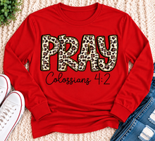 Load image into Gallery viewer, PRAY Colossians 4:2 leopard print Christian graphic shirt available in short sleeve crewneck, V-neck, long sleeve and hoodie styles.