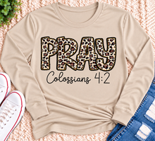Load image into Gallery viewer, PRAY Colossians 4:2 leopard print Christian graphic shirt available in short sleeve crewneck, V-neck, long sleeve and hoodie styles.