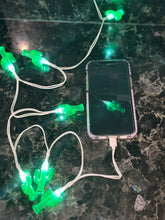 Load image into Gallery viewer, &quot;Cactus Fun&quot; iPhone Charger
